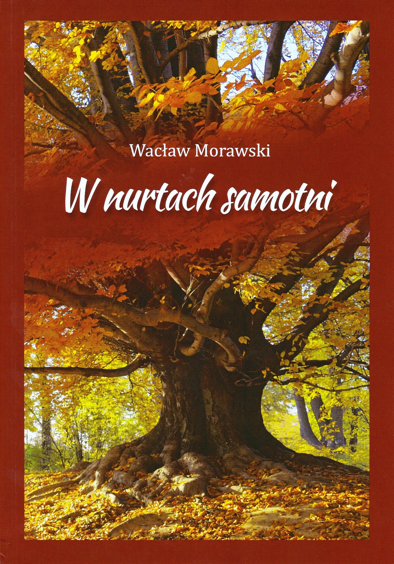  Wacław Morawski: W nurtach samotni Na zdjęciu okładka książki 